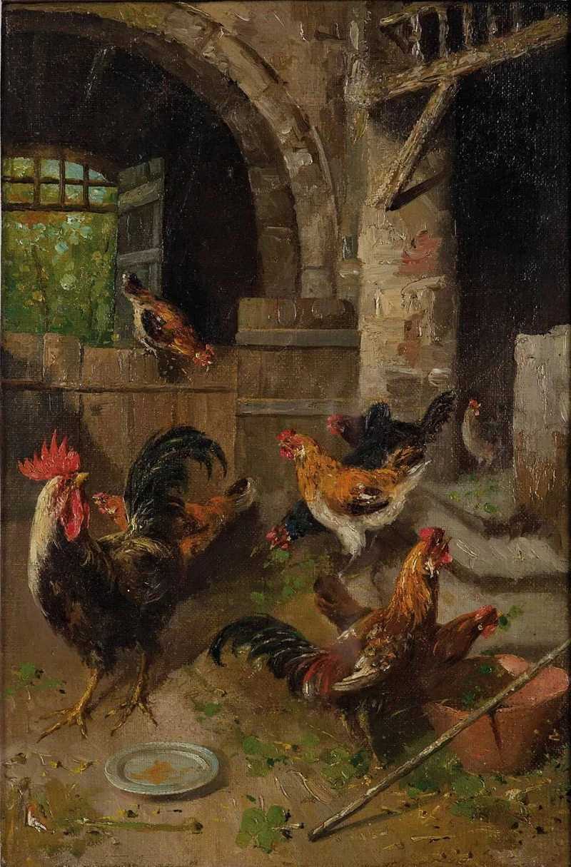 Galline nell'aia
